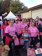 group photo from the Harrisburg Breast Cancer Walk