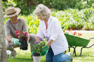elderly pair tending to a garden